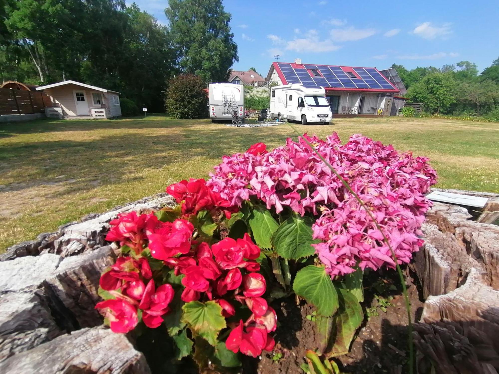 Piibelehe Guest Accommodation Kuressaare Exteriör bild